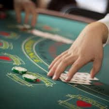 y19s Live Casino